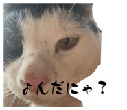 673411583