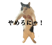 673411584