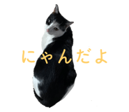 673411586