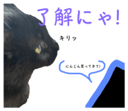 673411588