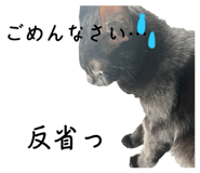 673411592