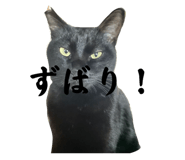 673411596