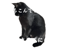 673411599