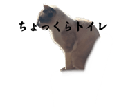 673411608