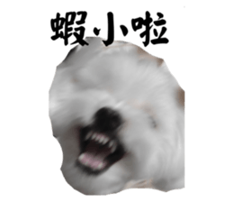 673430031
