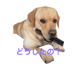 673438119