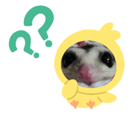 673446963