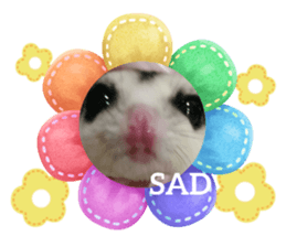 673446965