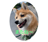 673450715