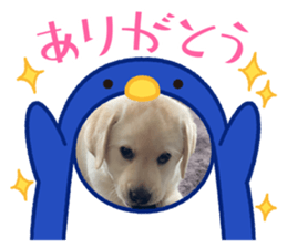 673451234