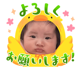 673452333