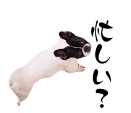 673458312