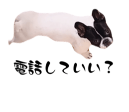 673458313