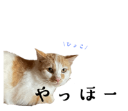 673464406