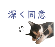 673464407
