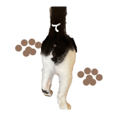 673464417