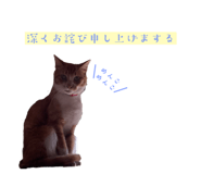673464421