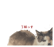 673464423