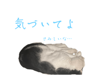 673464424