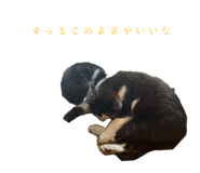 673464438