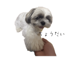 673466694