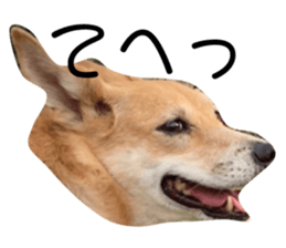 673513167