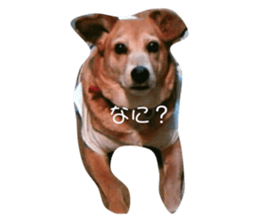 673513175