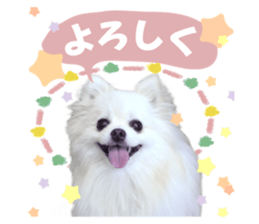 673515585