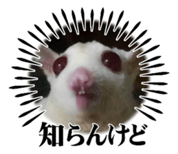 673533935