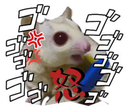 673533941