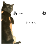 673534862