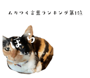 673534867