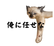 673534868