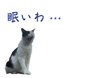 673534875