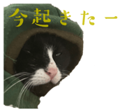 673534877