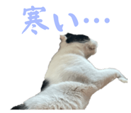 673534883