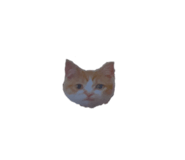 673534884