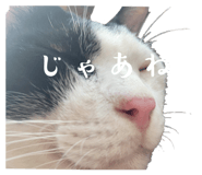 673534885