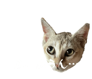 673534892