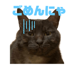 673550935