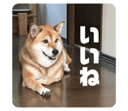 673574582