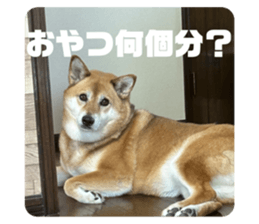 673574595