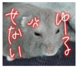 673575089
