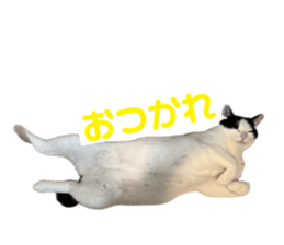 673575441