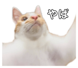 673601963