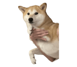 673602420