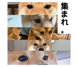 673609243