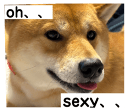 673609260