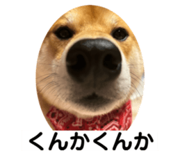 673609265