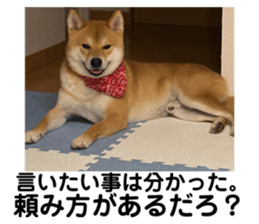 673609267